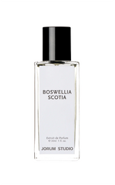Boswellia Scotia at Indigo Perfumery