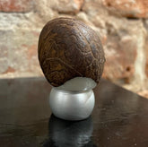 TAG nuts by ånd fragrance at Indigo