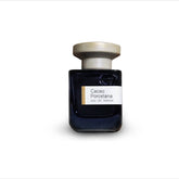 Cacao Porcelana Indigo Perfumery