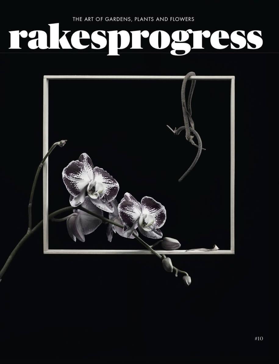 Rakes SENSE / Rakesprogress magazines at Indigo - Indigo Perfumery