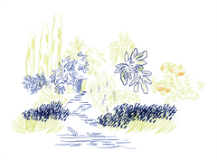 A Sigh of Dawn illustrated at Indigo