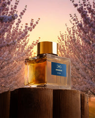 Amandus by Manos Gerakinis