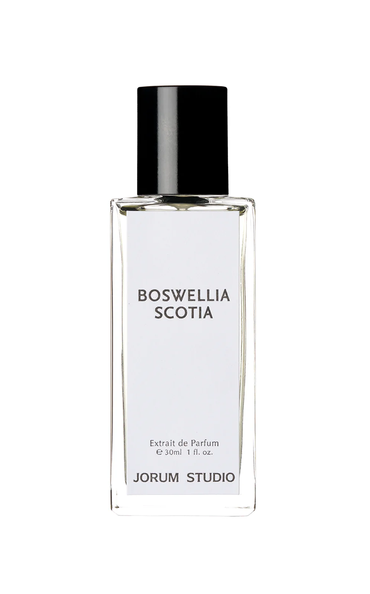 Boswellia Scotia at Indigo Perfumery