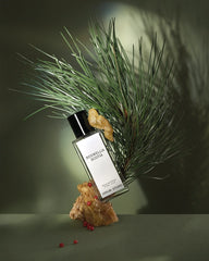Boswellia Scotia at Indigo 