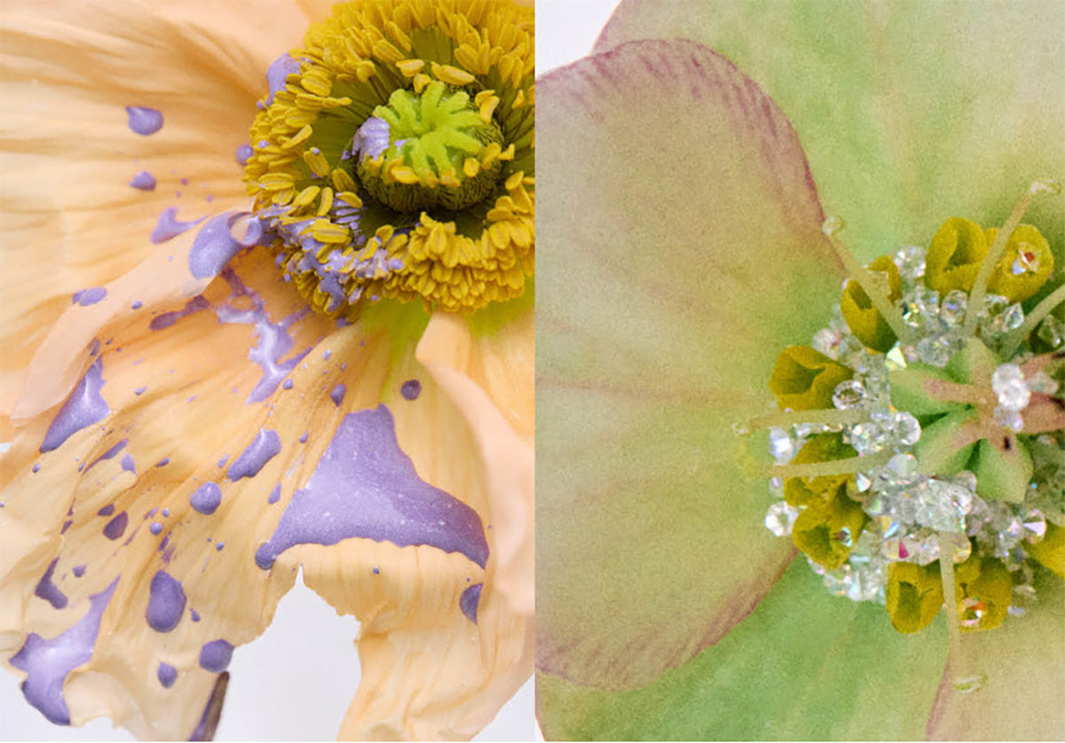 Flower Glyph by Liis at Indigo