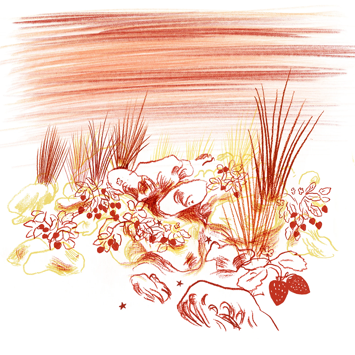 Fraise De Nuit by Frassai illustrated at Indigo Perfumery