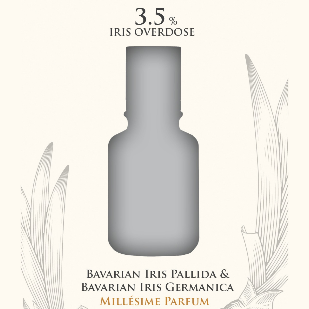 Iris Tannat 2 Irises at Indigo Perfumery