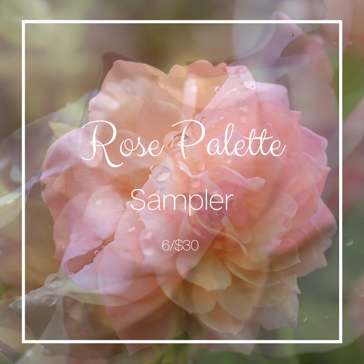 Rose Palette Sampler at Indigo Perfumery