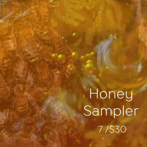 Honey Sampler at Indigo Perfumery
