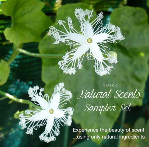 Naturals Sampler Set at Indigo Perfumery