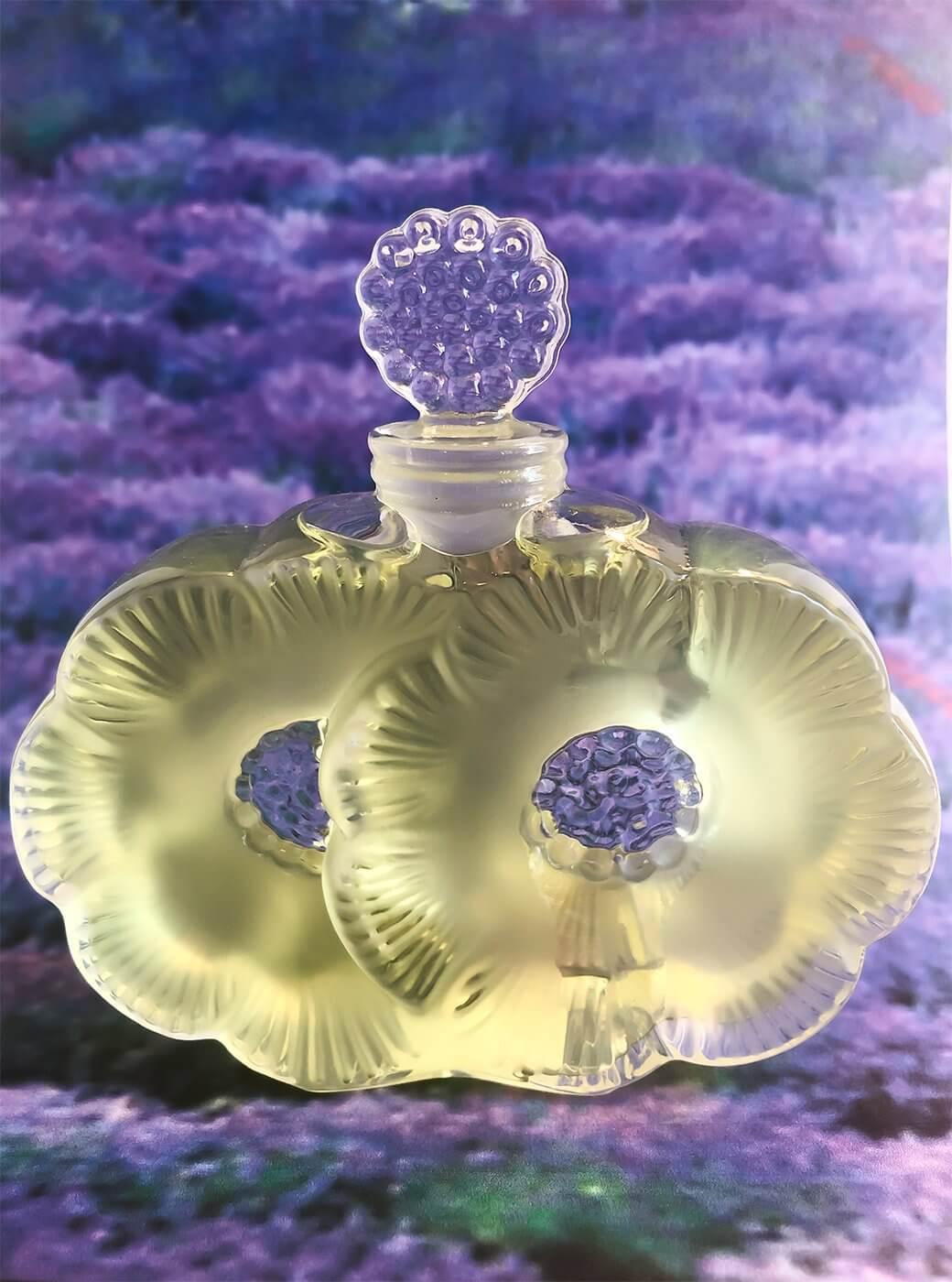 Paradis Provence by SHALINI - Indigo Perfumery